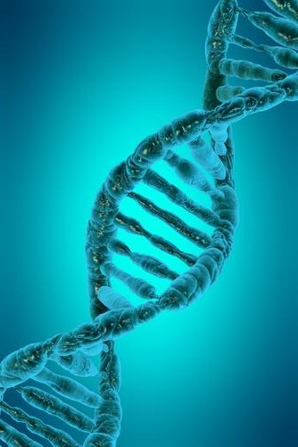 La Connaissance des Sceaux et des 12 brins d'ADN
