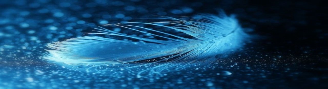 Bienvenue dans l'Univers de la Conscience